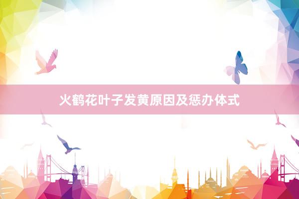 火鹤花叶子发黄原因及惩办体式